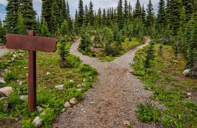 Nature trail with two because of