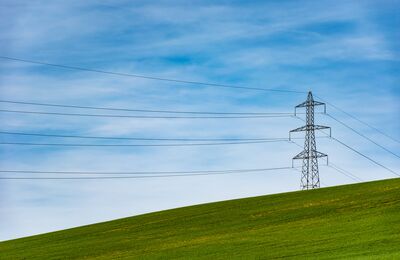 Green meadow with power line