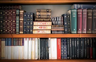 Bücherregal mit Bücher
